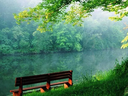 528hz Music For Cleaning Pineal Gland & DNA Repair