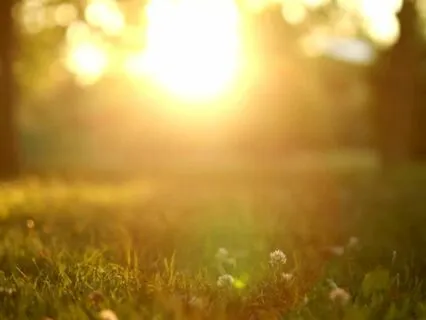 Meditação "A sabedoria do recolhimento"