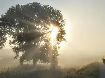 Meditação da Manhã