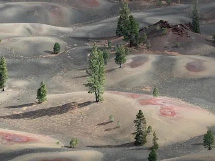 Meditação das 5 Qualidades