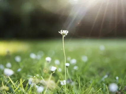 5 Minutos de Silêncio