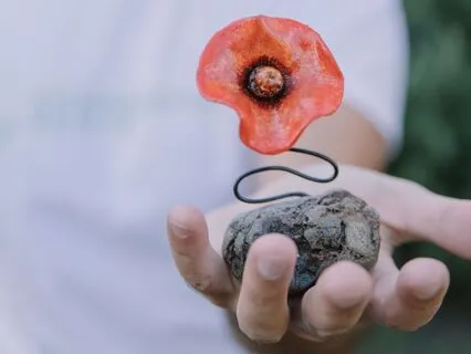 Meditação de Bondade Amorosa