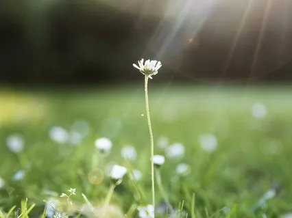 Meditação de Kuan Yin 