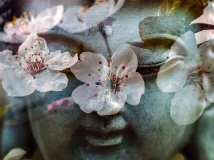 Liberando o Stress e a Ansiedade