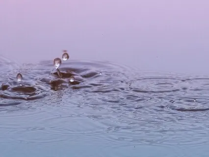 Meditação do Amor Altruísta