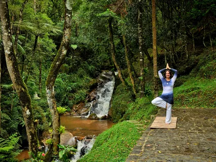 Meditação dos 5 elementos