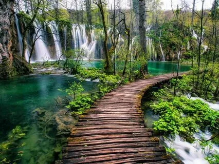 Meditação guiada "A Viagem"