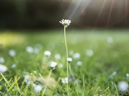Meditação Guiada para Ansiedade