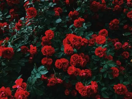 Meditação Guiada para Gerir os Pensamentos