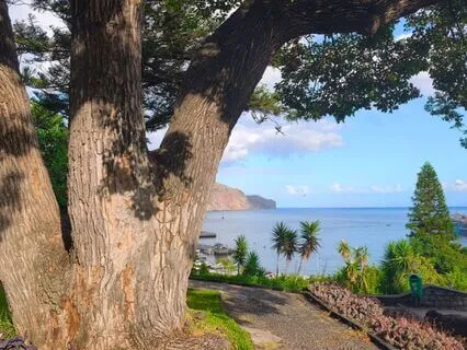 Meditação Guiada para o Exercício do Perdão