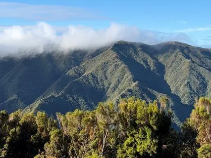 Meditação Guiada Para Acalmar A Mente | Ansiedade