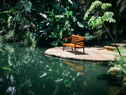 Meditação Guiada - Pausa