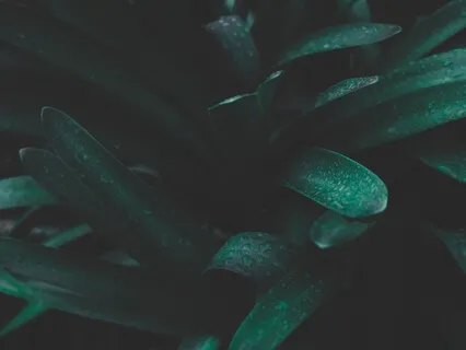 Meditação Guiada | Prosperidade