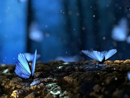 Manifestação de Uma Nova Realidade