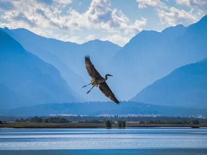 Meditação na Clareza da Mente