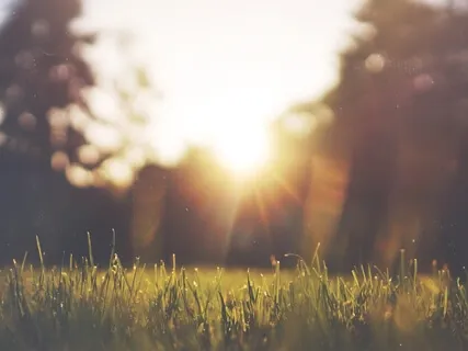 Mindfulness no Corpo e na Respiração