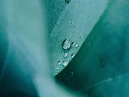 Meditação para Alívio do Stress Diário