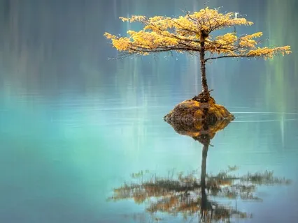 Meditação para o Quinto Centro Energético (5º Chakra)