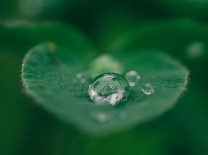 Meditação Para o Segundo Centro Energético