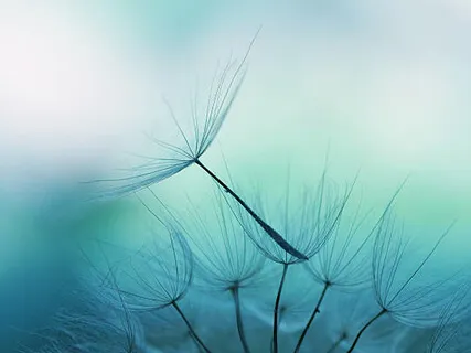 Meditação Pausa no Corpo