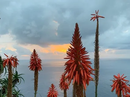 Relaxamento - Acalmar os Pensamentos e Tranquilizar a Mente