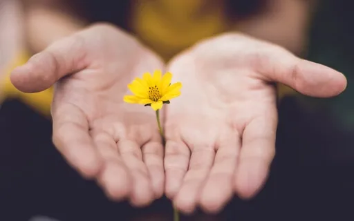 Meditação Santosha -  A Alegria de Viver