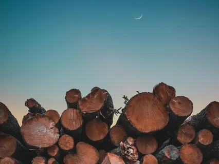 Meditação Guiada - Sou um Pedaço de Madeira