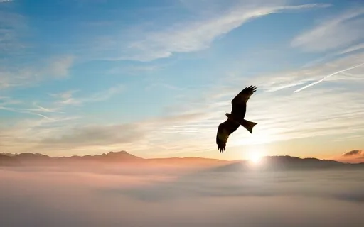 Meditação Xamânica - Ritual Diário