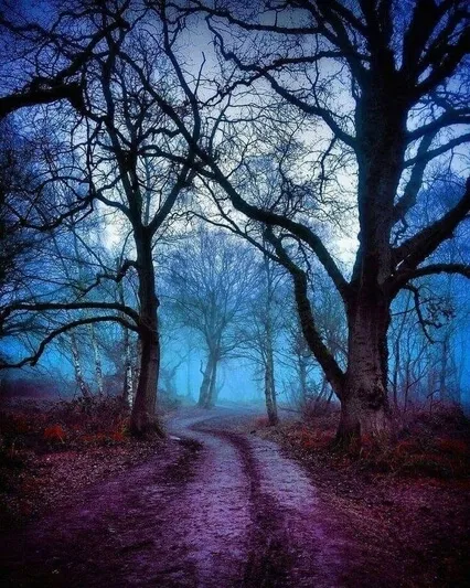 Atenció Plena amb Paraules