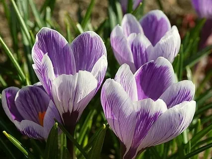 Meditació Per Reconéixer-te 