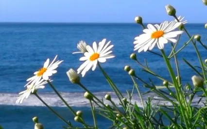 Meditaition To Relieve Depression & Anxious Thoughts