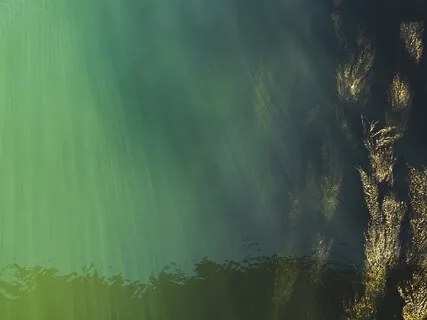 Meditape 1 Ambient Nature - Underwater