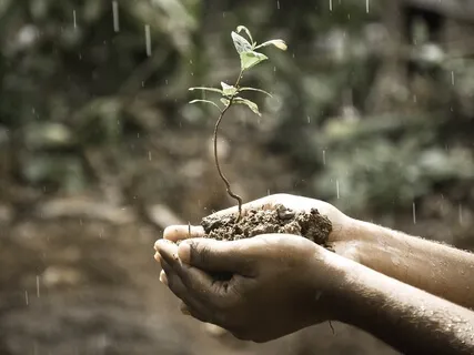 Meditape 1 Ambient Nature: Wind and Rain