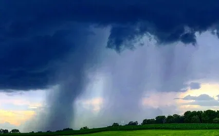 Meditate & Heal Mind-Body ~ Serenity Wellness Podcast E87