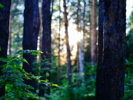 Meditate And Ponder With 528 Hz