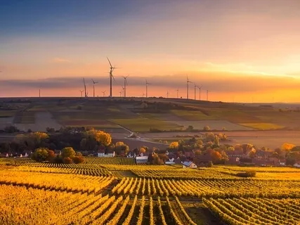 Meditate For A Better World