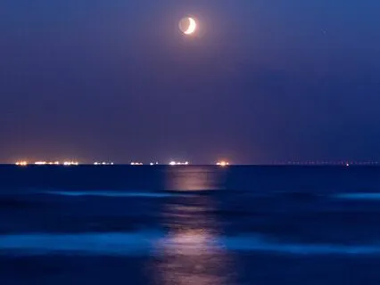 Meditate & Levitate While You Sleep (Delta Isochronic Tones)