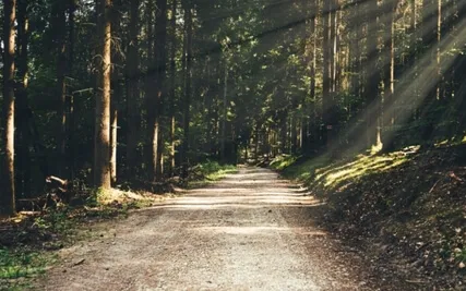 Meditate The Stress Away