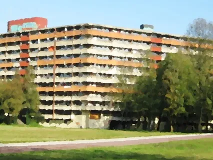 Meditate With A Fellow Student