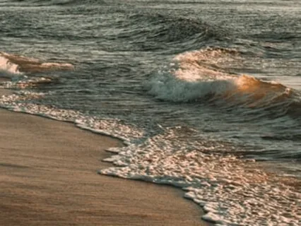 Meditate With Ocean Waves
