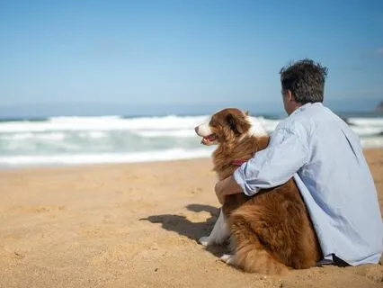 Meditate With Your Dog
