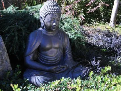 Meditatie Tonglen Modificata