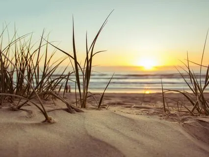 Ibiza Tranquility: Chillout Sounds