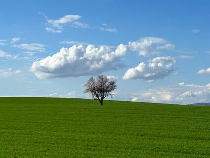 Meditating In Stillness