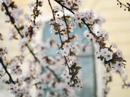 Meditating On Anchors