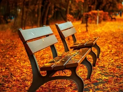 Meditating On Impermanence