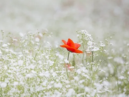 Meditating On The Nature Of Thoughts
