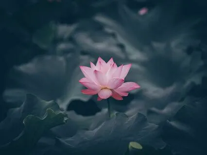 Meditating On The Sacred Syllable A