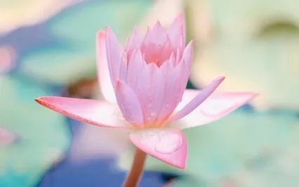 Meditating On The Sound Of Water & Pristine Mind Meditation