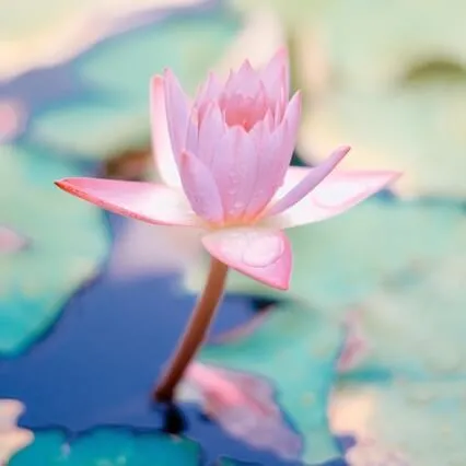 Meditating On The Sound Of Water